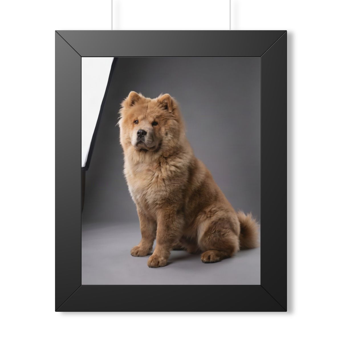 Portrait Studio: example portrait